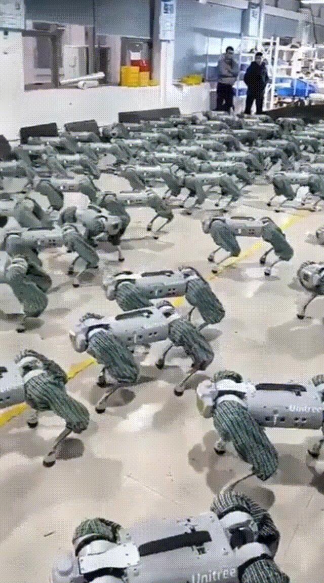 新出生的机器狗,刚生出来的机器狗