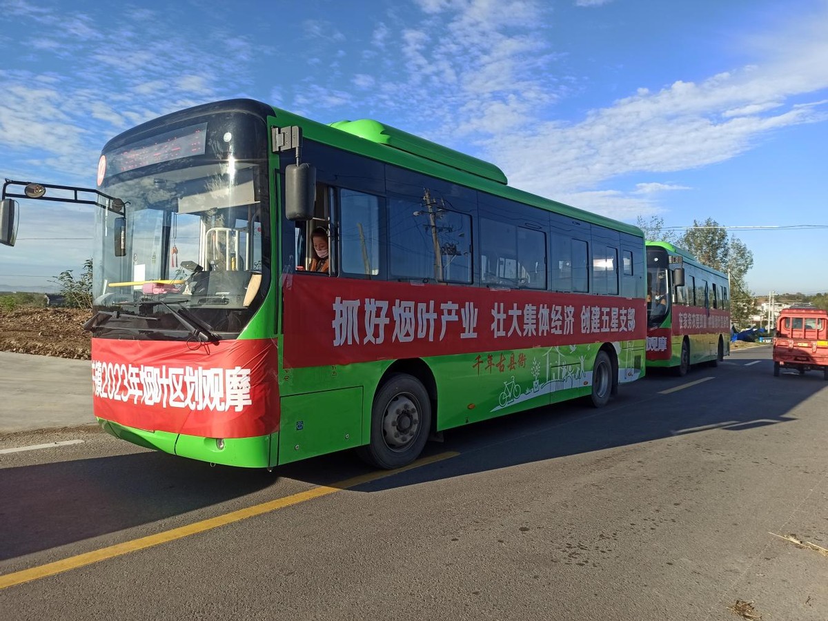 做强烟叶产业助推乡村振兴安良镇 (白沙镇烟叶产业蓬勃发展)