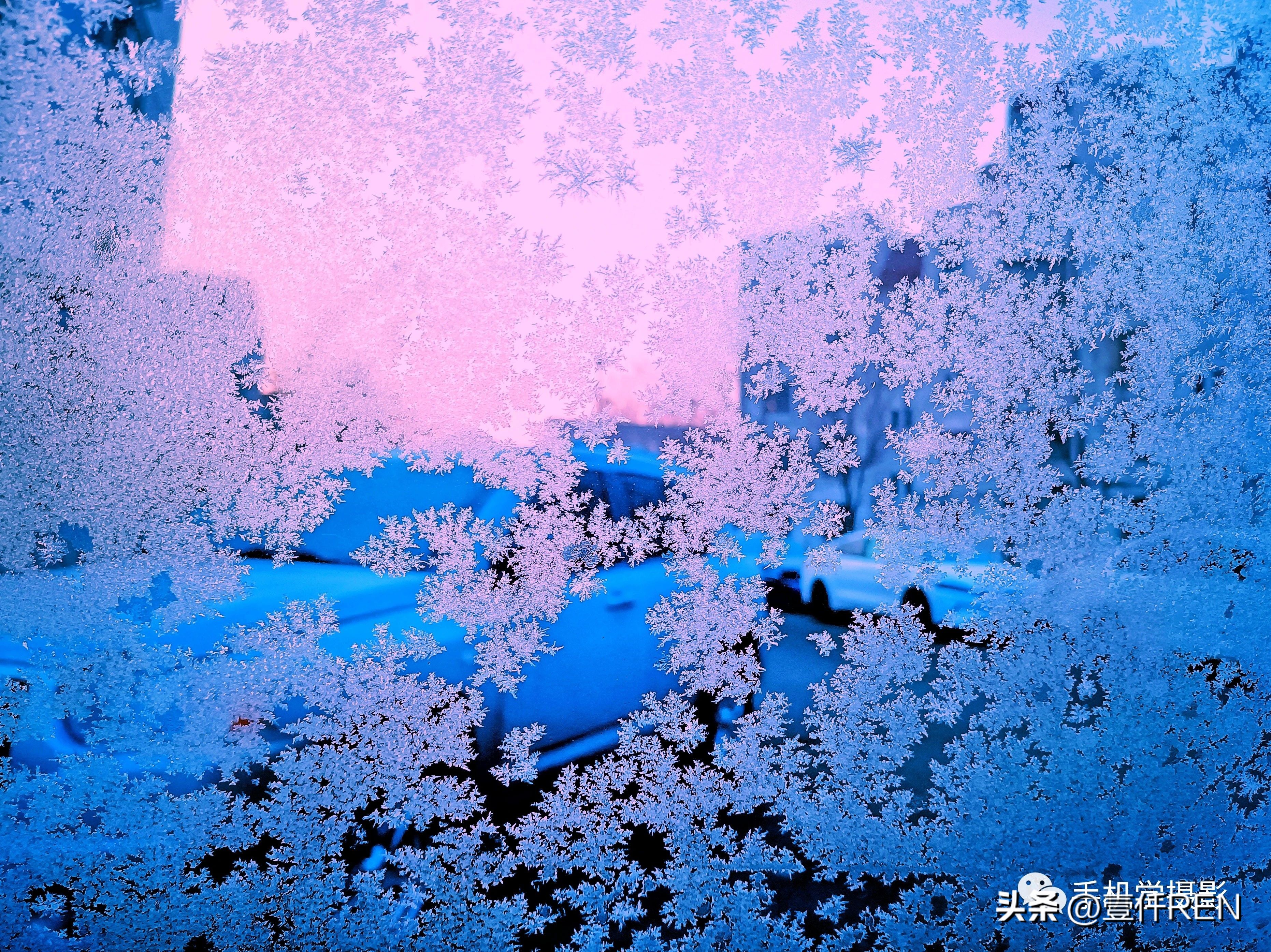 手机拍照怎么拍好看,手机拍照应该拍点什么