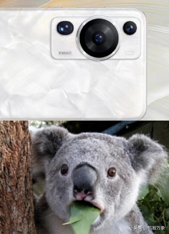 华为p60洛可可白版本有5g吗,华为p60洛可可白测评价格