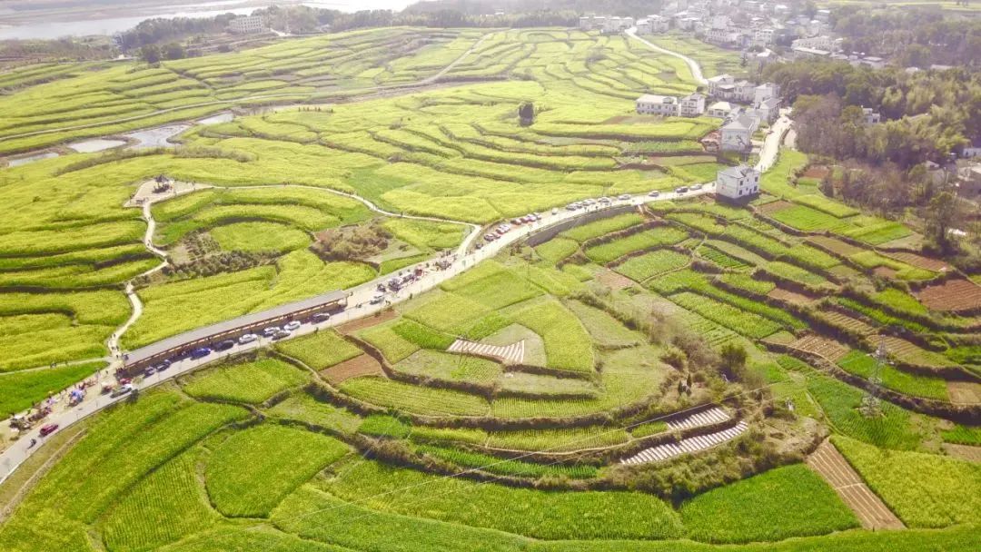 乡村振兴示范村典型案例建设方案,基层党建引领乡村振兴主要案例