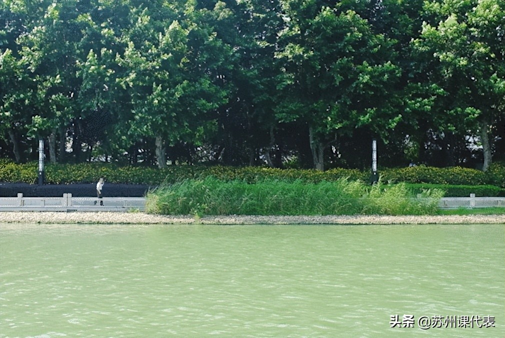 君到姑苏见人家尽枕河写的是哪里,君到姑苏见人家尽枕河是什么含义