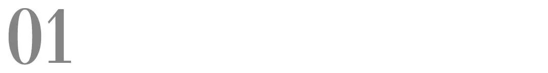 合理合规使用宠物抗菌药,东西部兽医联合汉维宠仕发起联合倡议