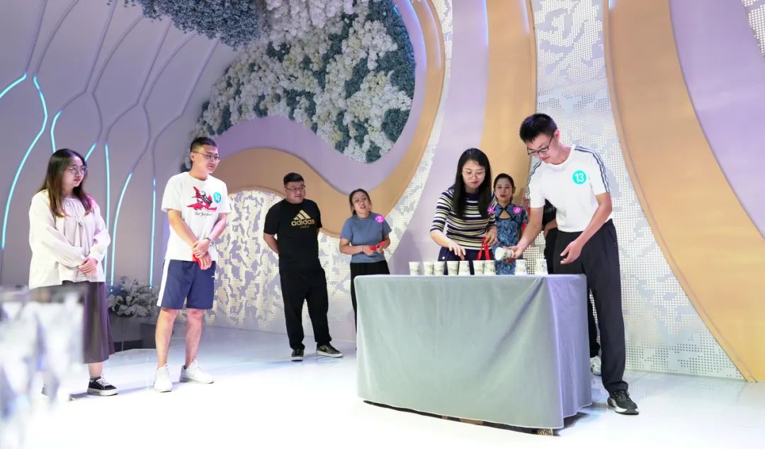 动力研究院山柴公司,动力院