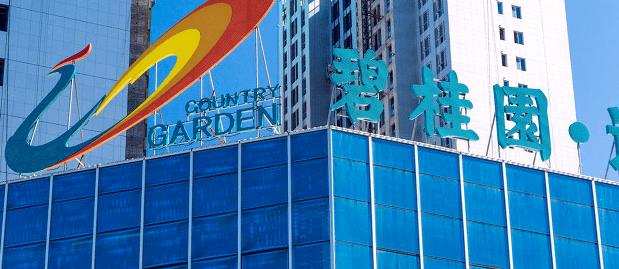 碧桂园杨惠妍视频素材,碧桂园杨惠妍发布会完整版