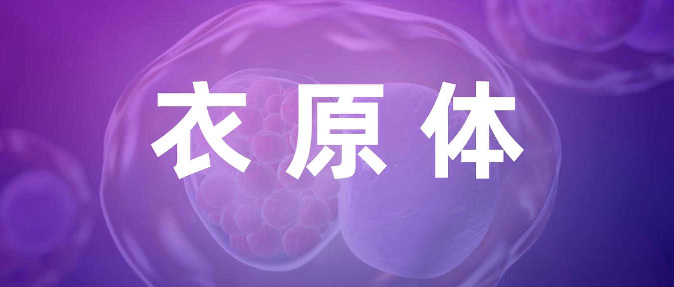 衣原体感染的症状和治疗方法,衣原体感染治疗为什么总是阳性