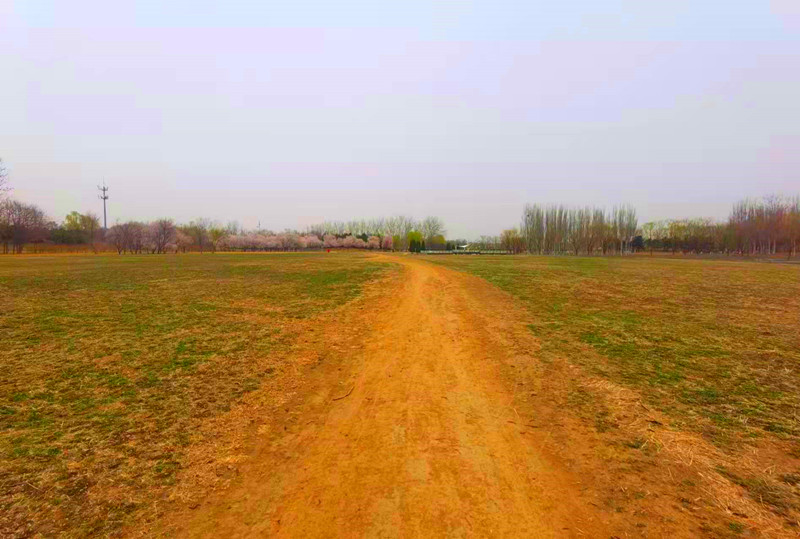 有地铁直达的公园,地铁可达的郊野公园