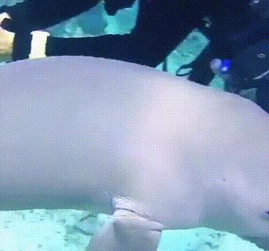 海底奇观欣赏,海底世界奇妙之旅图片