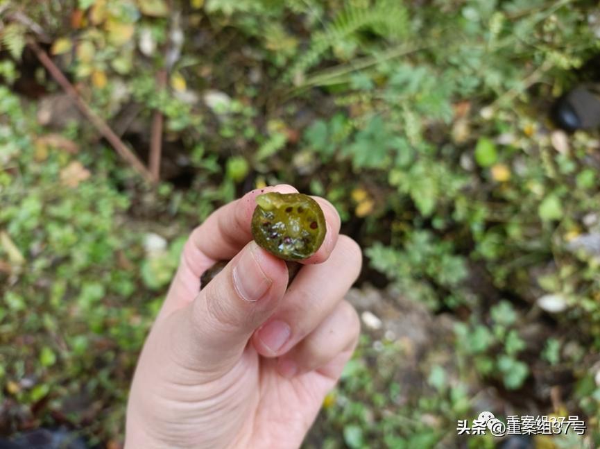 救甘宇的过程,救甘宇的人是谁