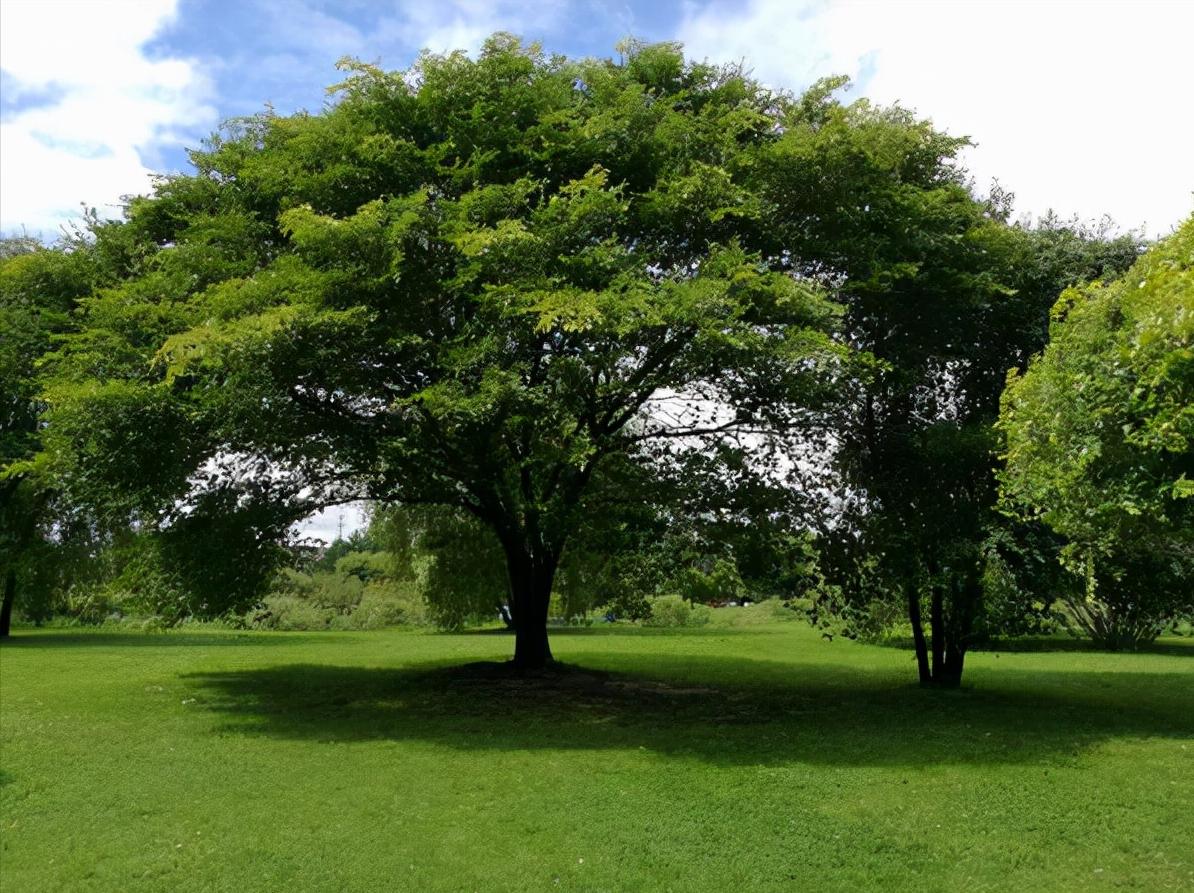 哈尔滨伏尔加庄园，满满的俄罗斯异域风情