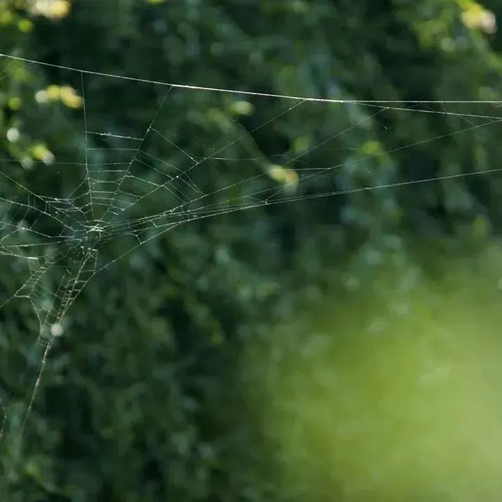 金昌旅游景点攻略沙漠,金昌市可以玩的地方