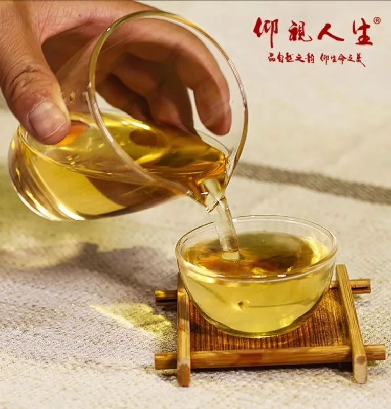 茶韵悠悠喝茶是一种心境,浮生茶语以茶的姿态去生活