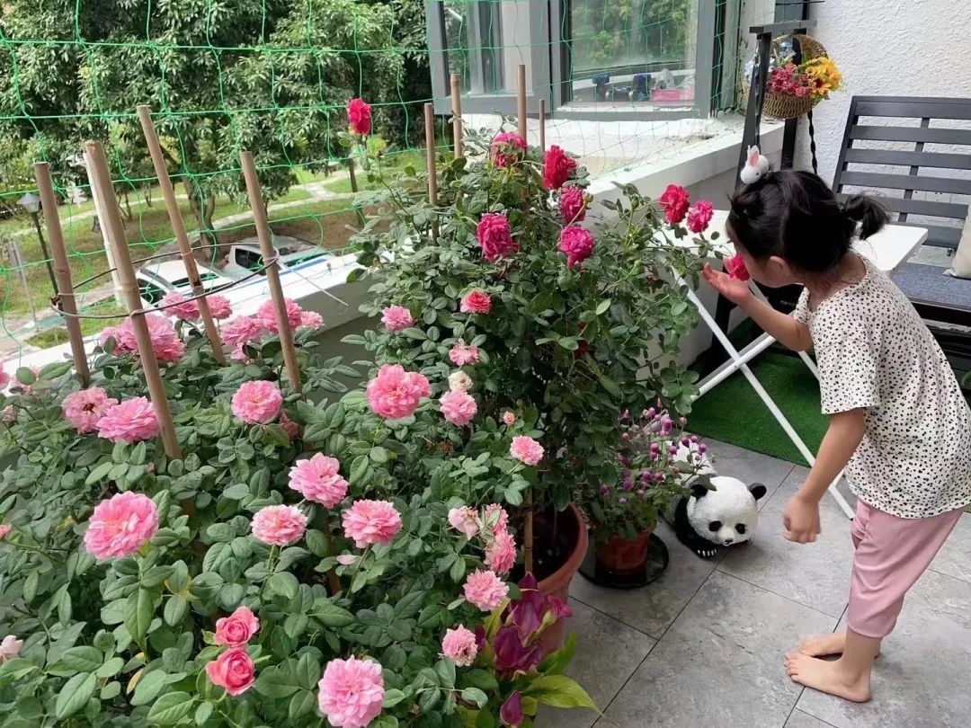 很多人羡慕的阳台,让别人羡慕的阳台