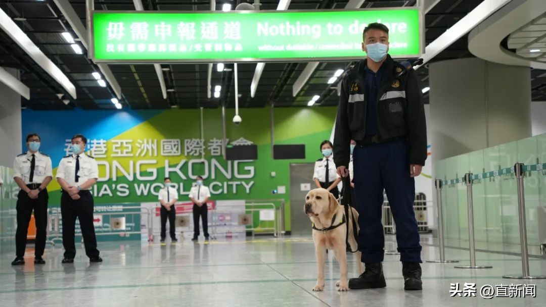 香港海关等待清关,香港海关出入境