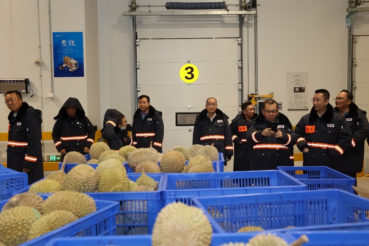 马来西亚猫山王榴莲体验馆团购,马来西亚猫山王榴莲体验馆海南店