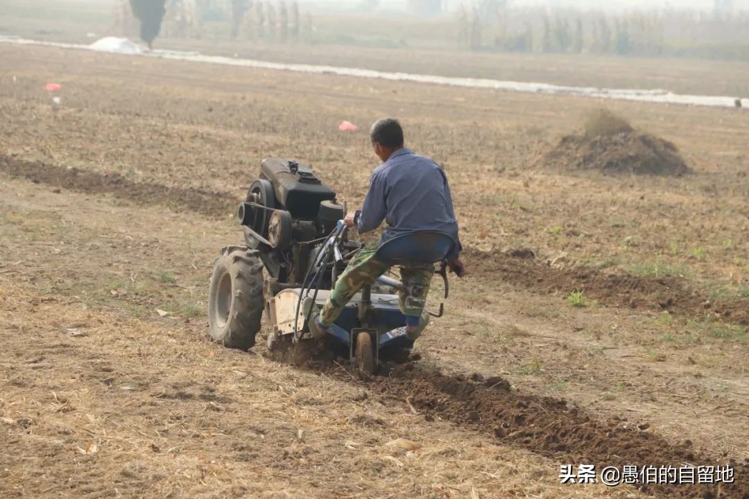 窝囊的父亲,窝囊的父亲小说