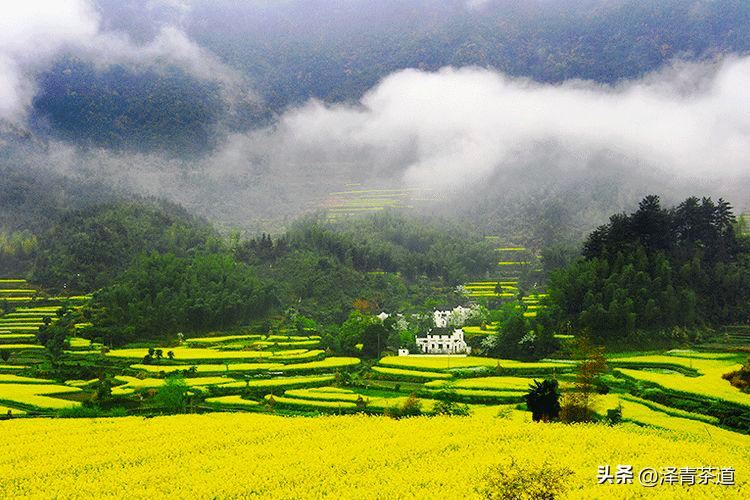 写春天的著名唐诗宋词加赏析,100首关于春天的唐诗宋词