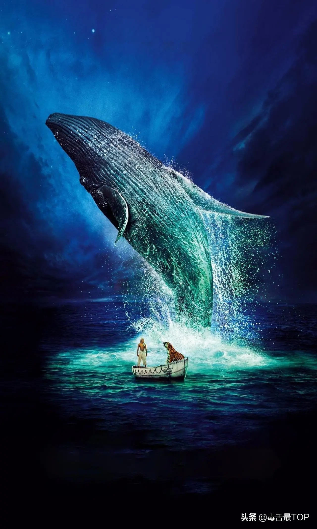 15部高分电视剧,16部经典的电影你都看过几部