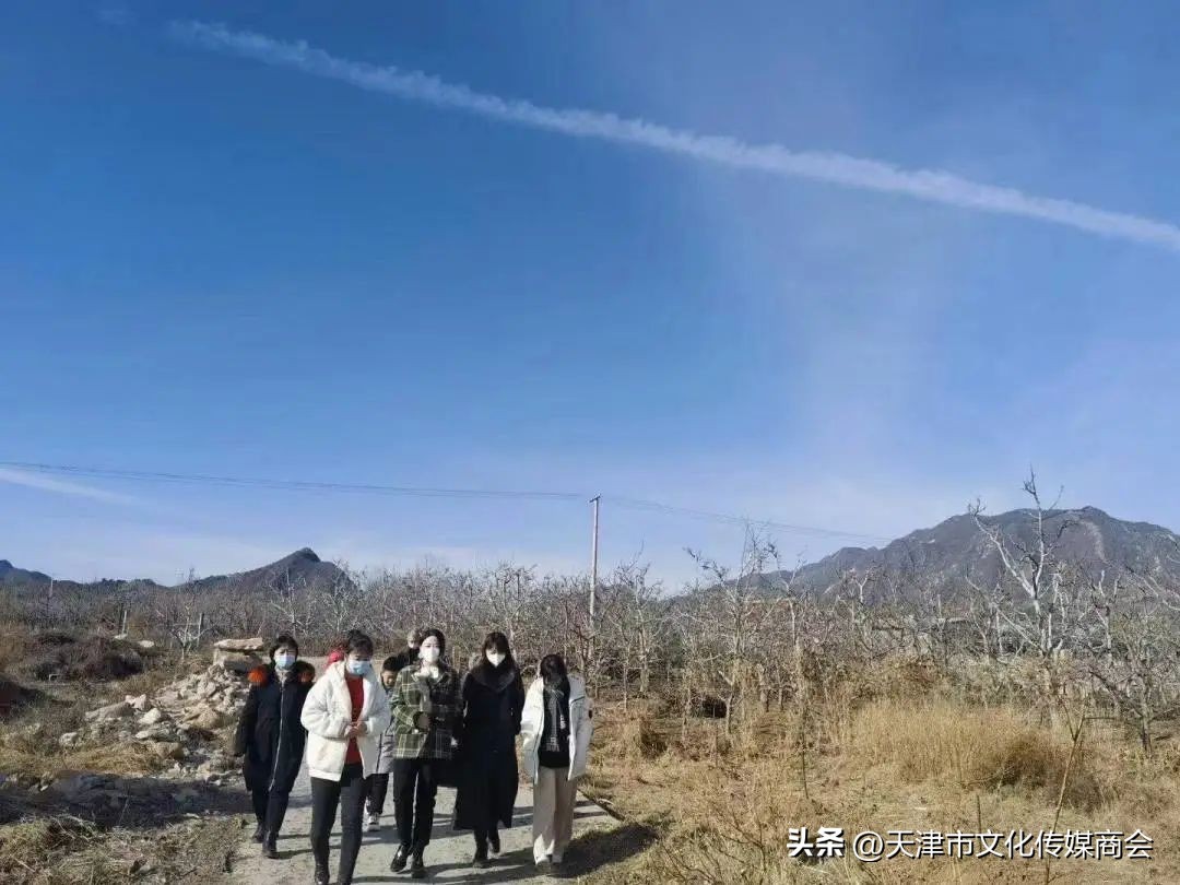 打造农特产品线上销售平台,蓟州农产品销售平台