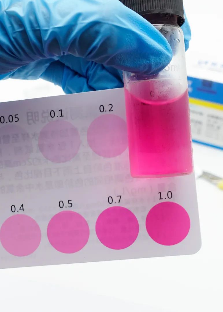 公共泳池的水有多脏,小区泳池太脏怎么办