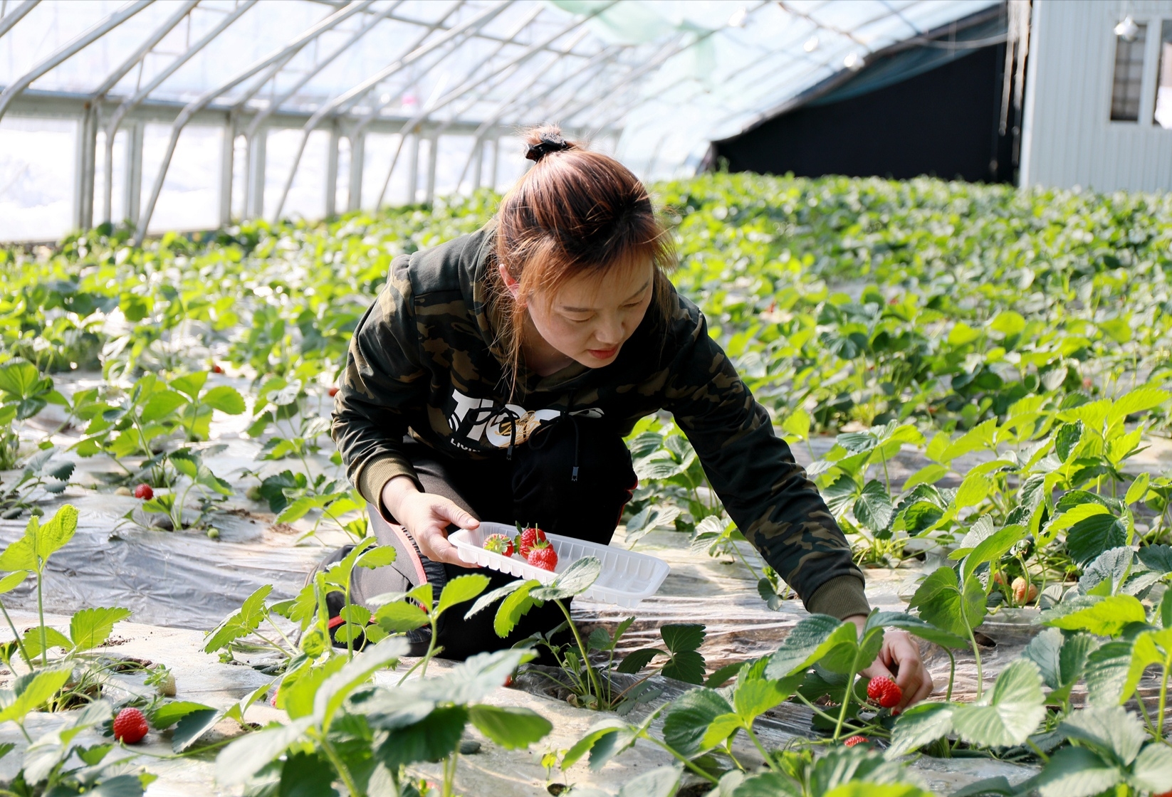 路漫漫其修远兮回归方寸之间,路漫漫其修远兮感悟