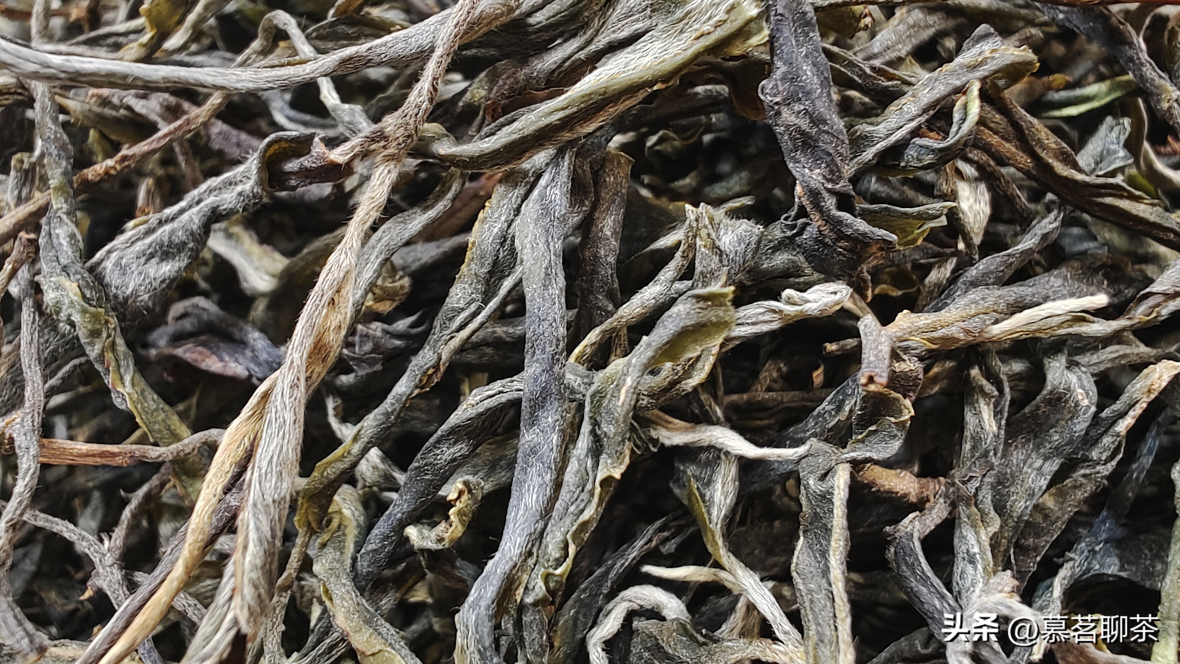 普洱茶生茶喝多了坏处,喝普洱生茶大忌什么