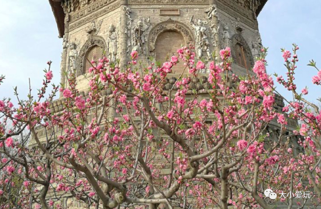 北京可以搭帐篷的免费公园,北京3月可以搭帐篷的公园