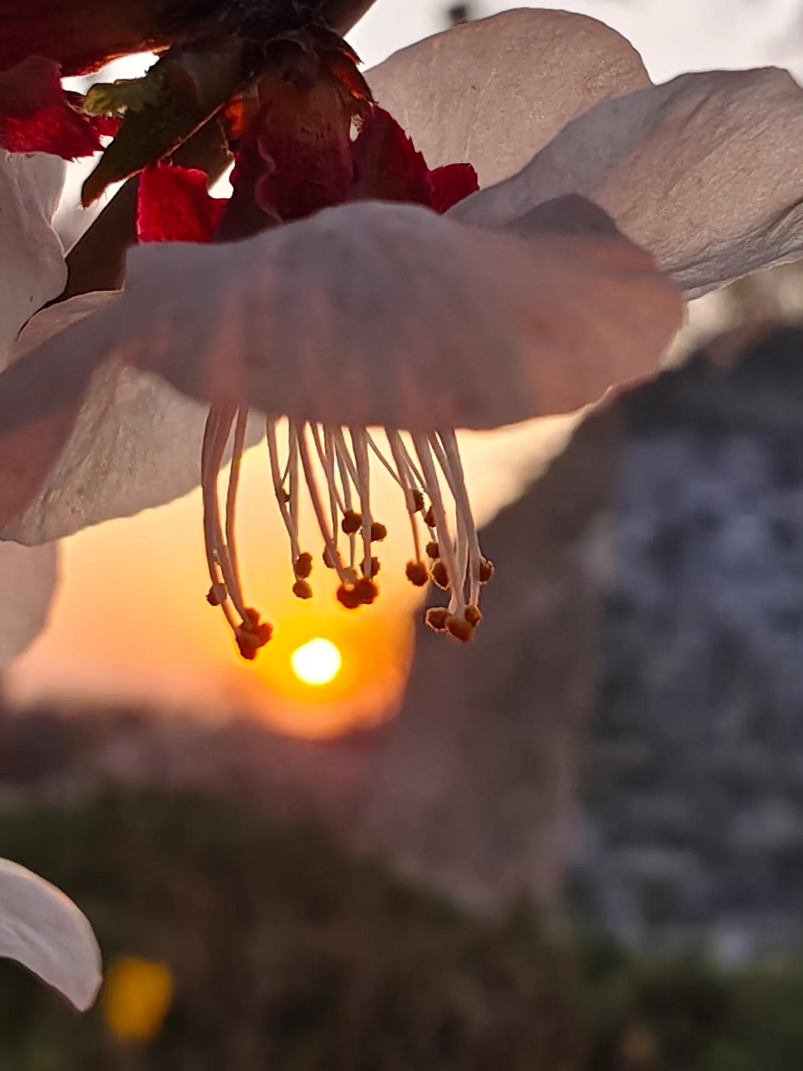 手拍世界近期作品,手拍世界完整版视频