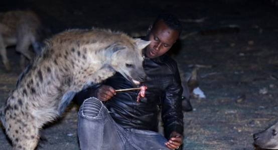 非洲爆发“人狗大战”，斑鬣狗组团袭击人类，为什么要报复我们？