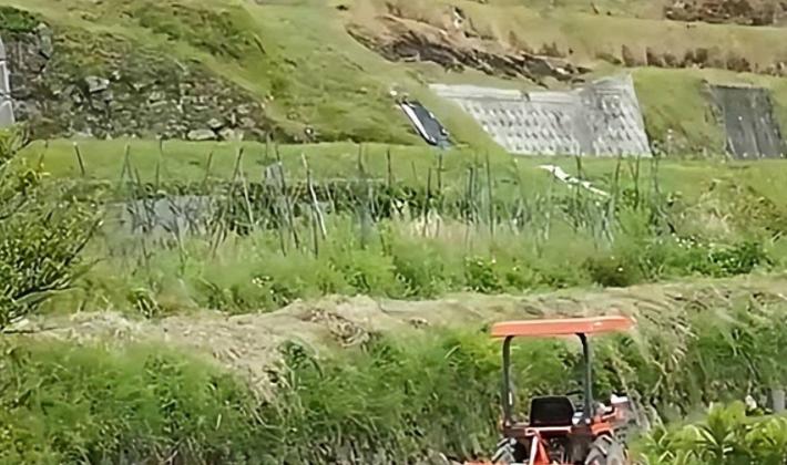 吉林农妇救了一条蛇,吉林农妇救毒蛇同吃同住12年