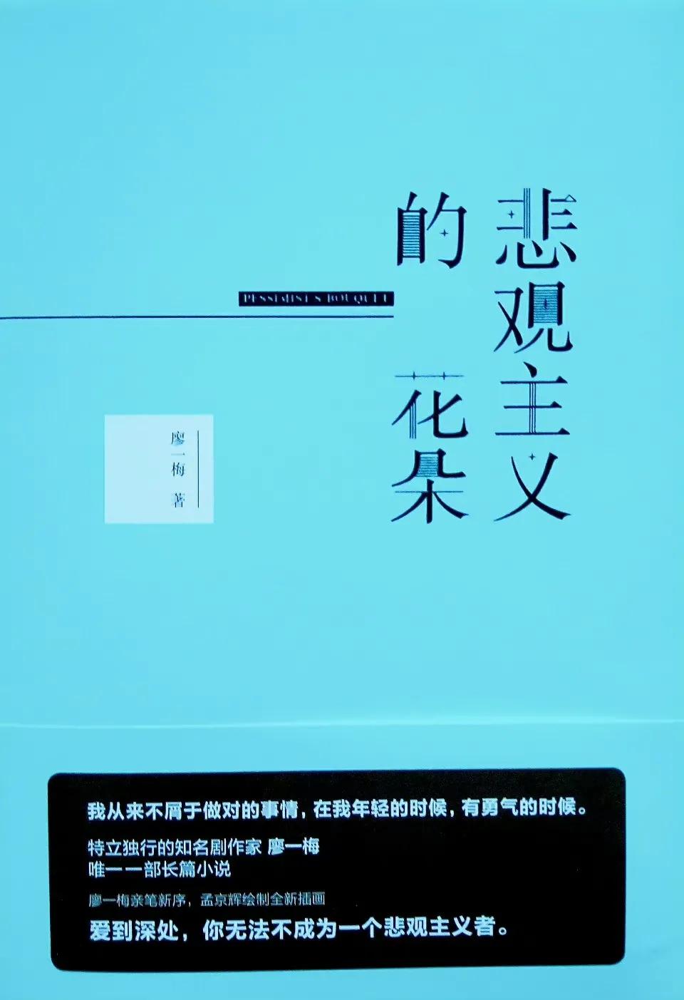 悲观主义的花朵原著小说,悲观主义的花朵