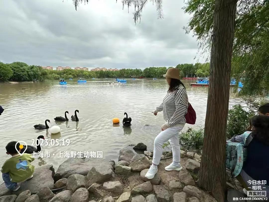 中国最大的野生动物园是哪个城市,中国最大野生动物园