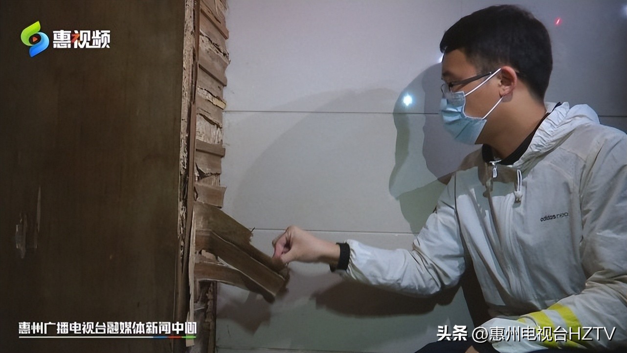 居民楼发现大量蚁穴找哪个部门,小区楼房为什么会有蚂蚁窝