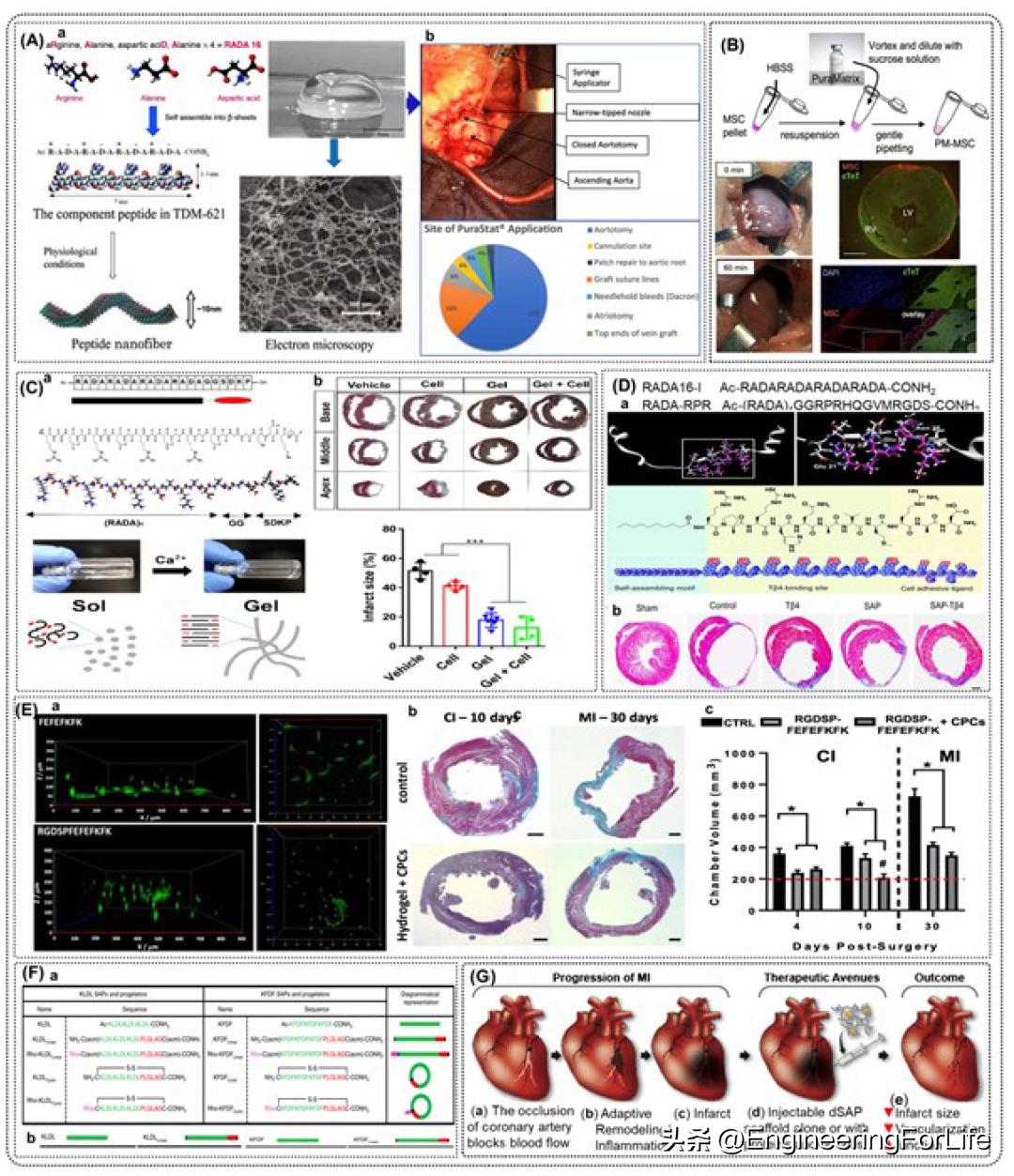 基于dSAP生物材料的纳米止血剂--从实验室到临床的科学之路