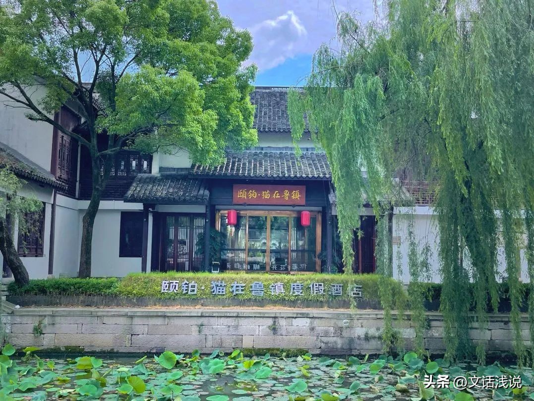 亚运会杭州气氛组,亚运会气氛组嗨起来