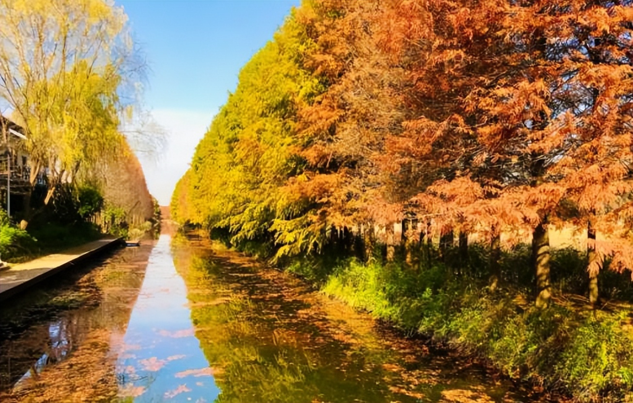 苏州景区推荐最值得去的地方,苏州最值得旅游的地方