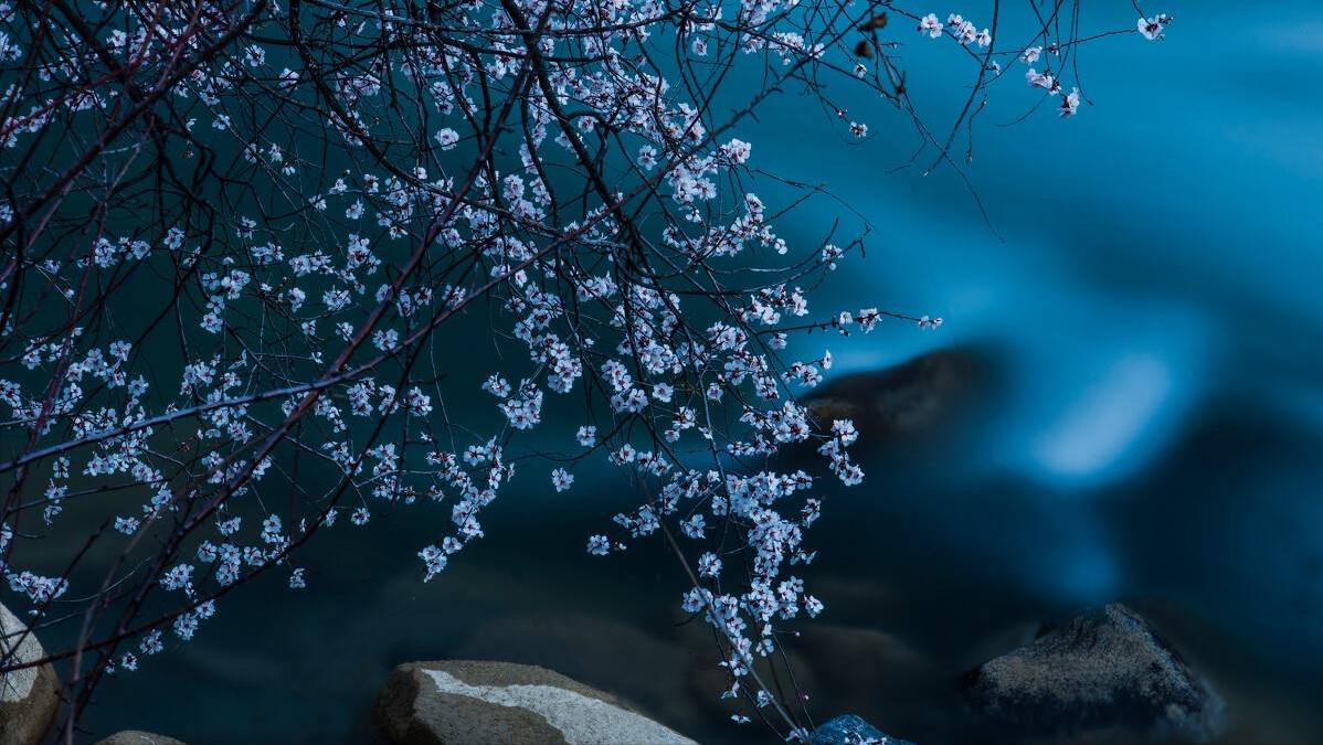 8首浪漫桃花诗词,三十六首经典桃花诗词