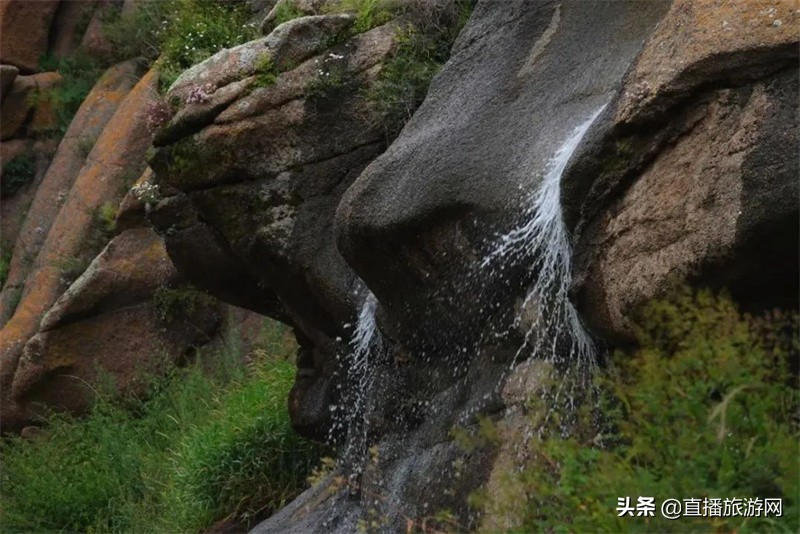 诗与远方内蒙古,诗与远方途乐