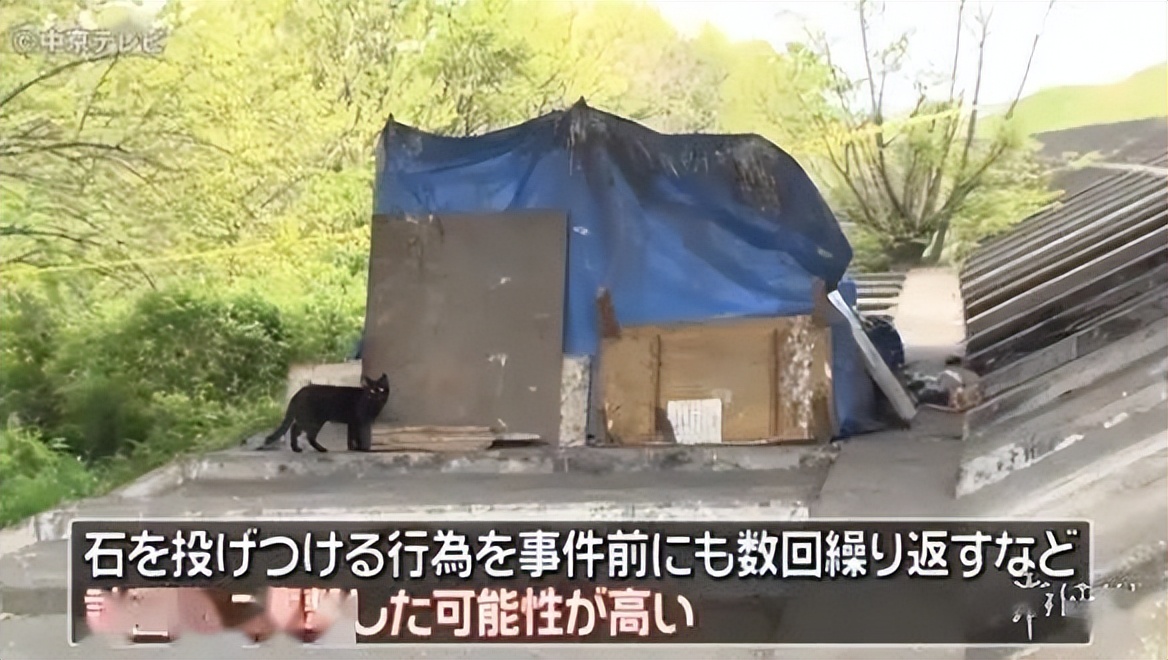 某地办比赛鼓励儿童猎杀野猫？！主办方：杀猫最多的奖励1000元！