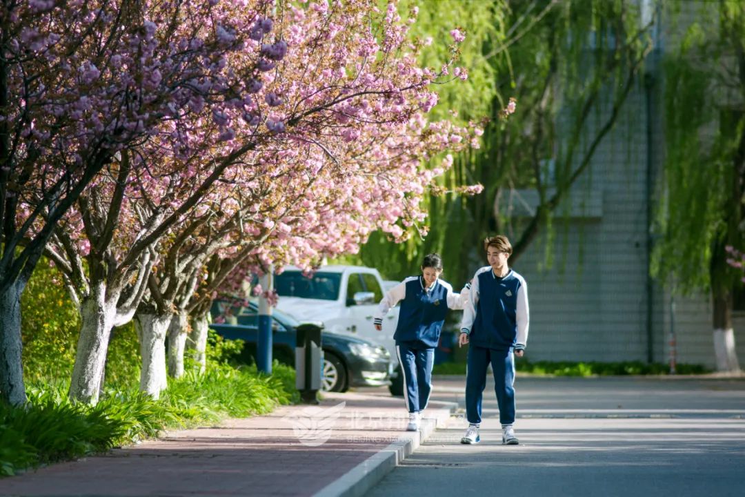 走进学校让心情愉悦,走进安静整洁的教室时我深感自豪