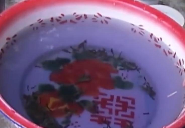 农村打井井水浑浊,打井现场井水怪异