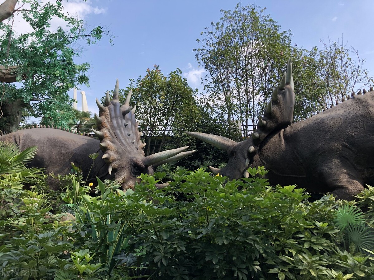 盘点徐州市区和近郊7个适合带孩子一起玩的地方，你去过几个?