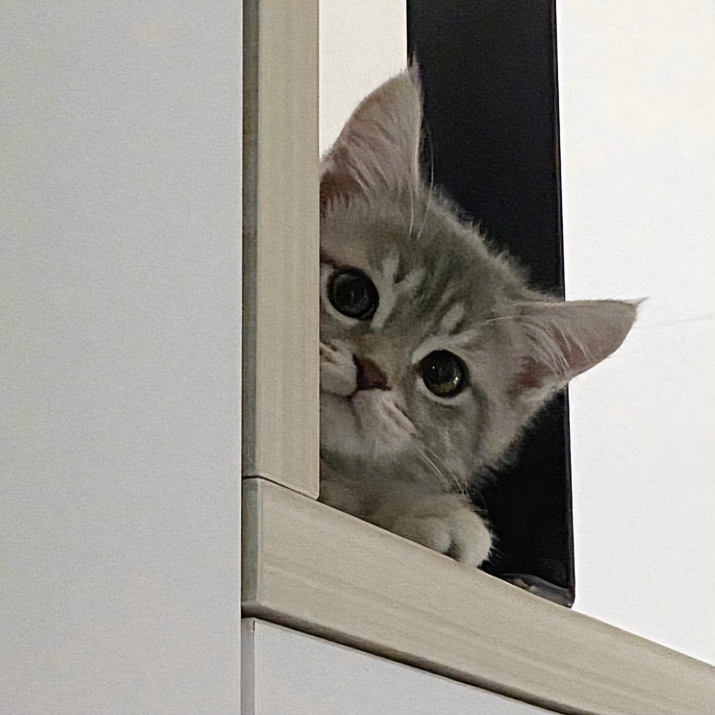 怎么加密视频不被盗用,视频被加密用其他软件怎么解除