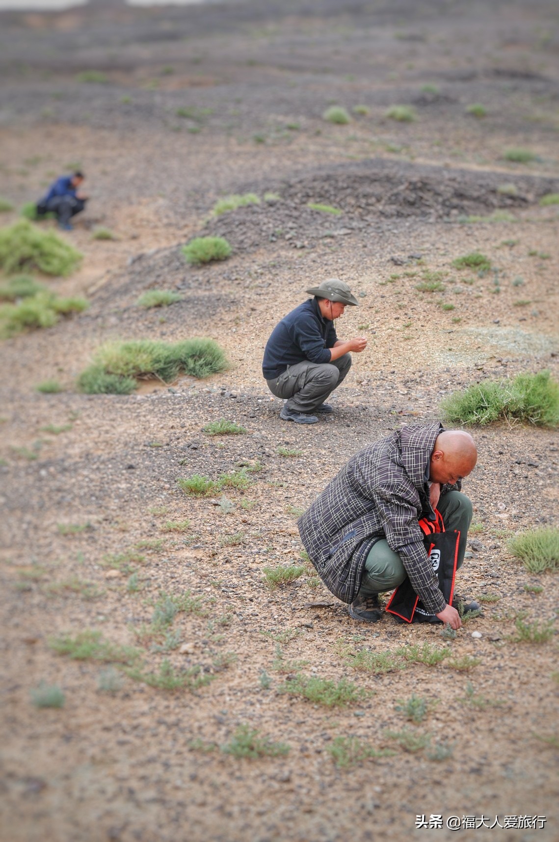 阿拉善玛瑙原石大量出售,阿拉善玛瑙原石出售