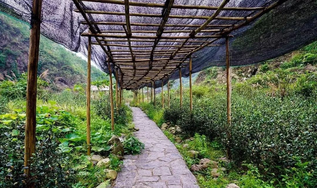 桂林夏天哪里方便避暑,桂林避暑耍水最好的地方