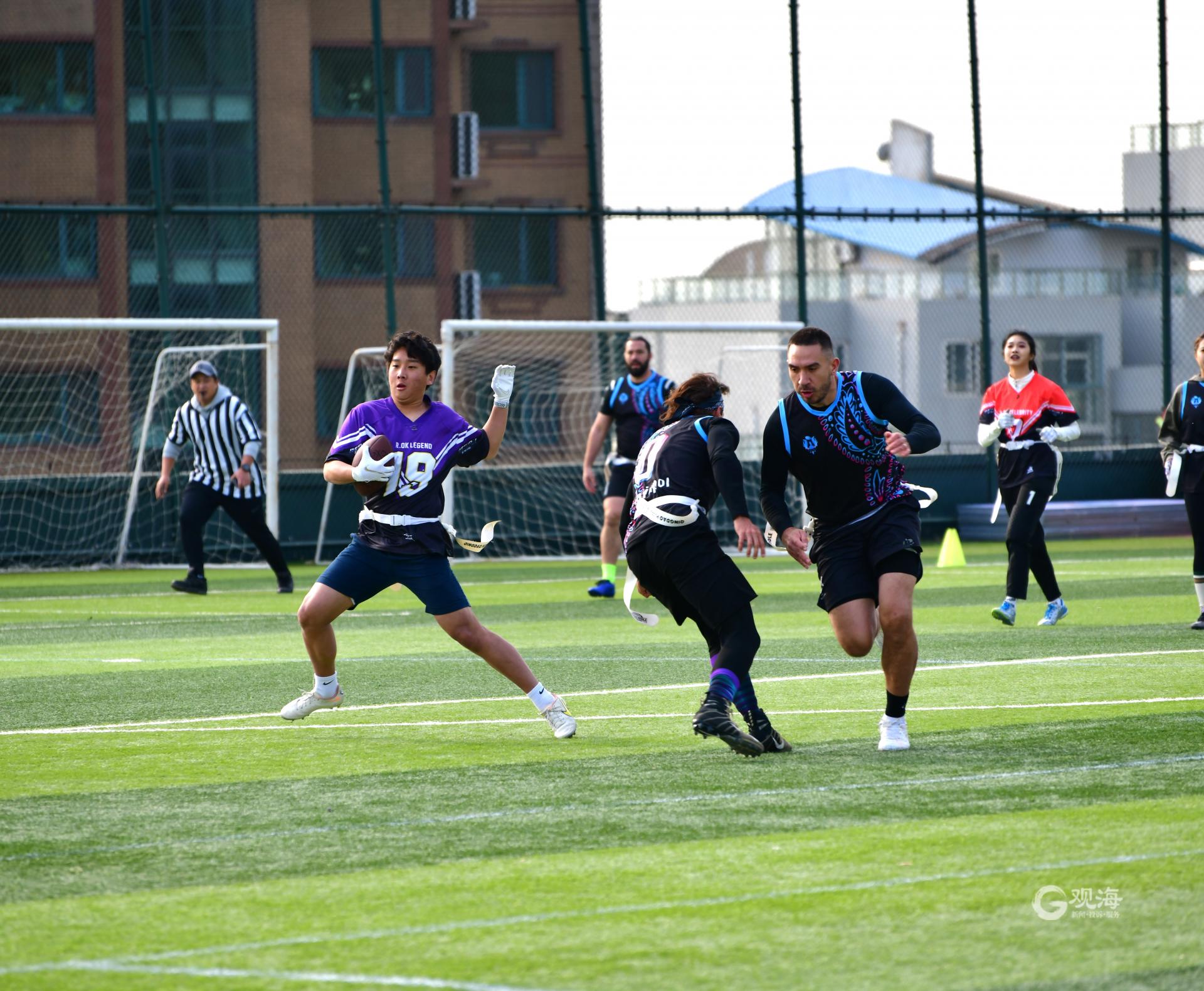 飞盘摇旗橄榄球,飞盘腰带橄榄球