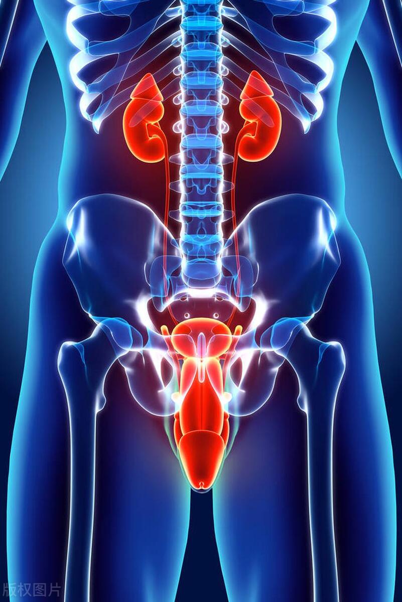 男人只有一个“蛋”，会影响“能力”吗？医生解释答案简单明了