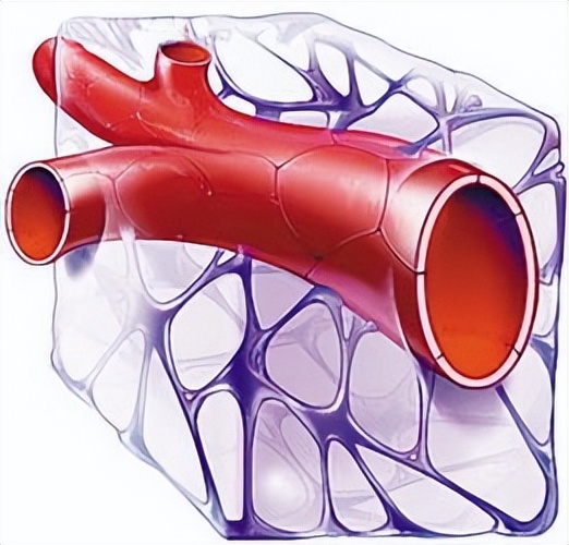 通窍活血汤方剂配伍,中成药溶栓化瘀的治疗效果及疗程
