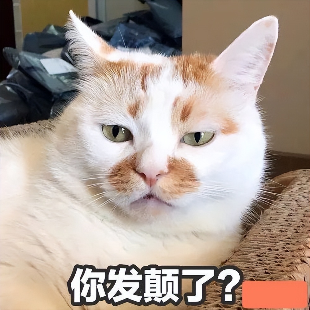 搞笑又正能量的段子幽默笑话短句,最新幽默沙雕笑话段子