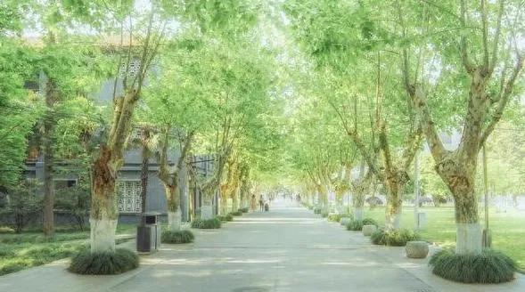 江苏大学对比扬州大学学科评估,扬州大学和江苏大学临床医学比较